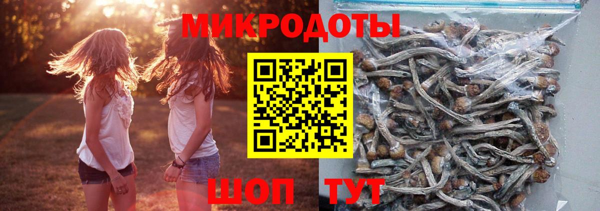 Псилоцибиновые грибы Psilocybe  Галлюциногенные грибы Cubensis  Кудрово  Вход с VPN 
